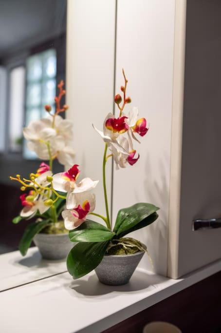 Apartament Dream House Preweza Zewnętrze zdjęcie