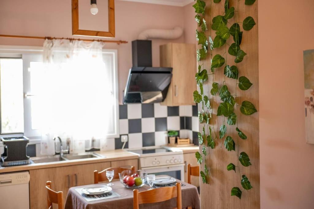 Apartament Dream House Preweza Zewnętrze zdjęcie