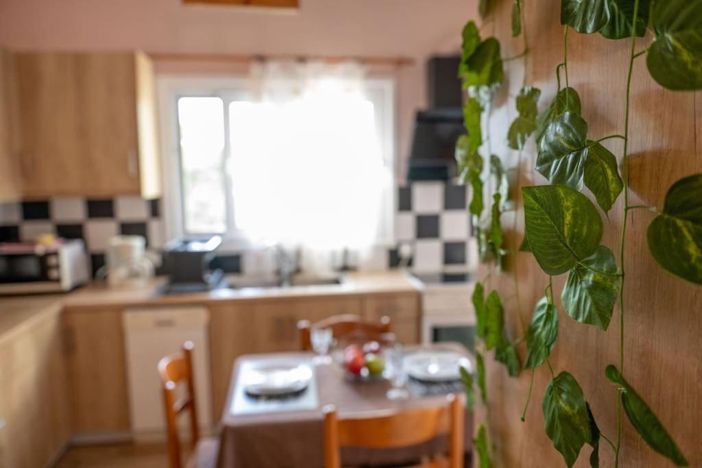 Apartament Dream House Preweza Zewnętrze zdjęcie