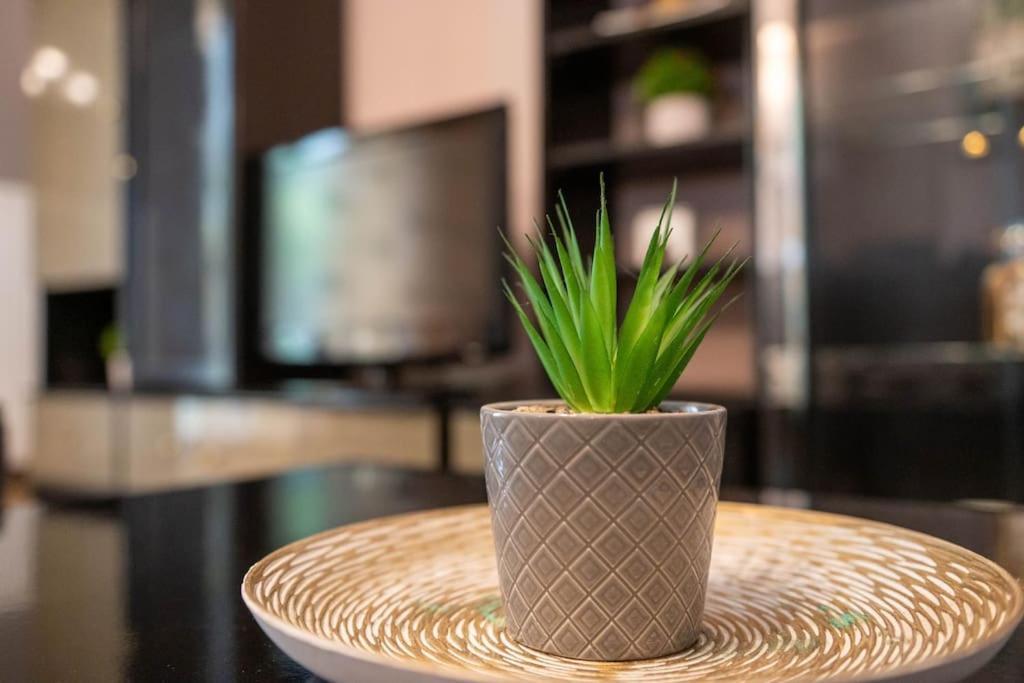 Apartament Dream House Preweza Zewnętrze zdjęcie
